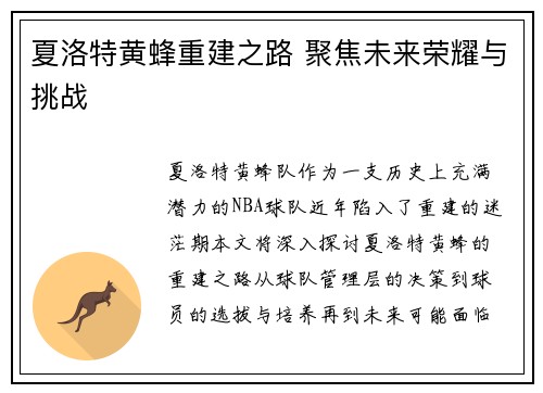 夏洛特黄蜂重建之路 聚焦未来荣耀与挑战